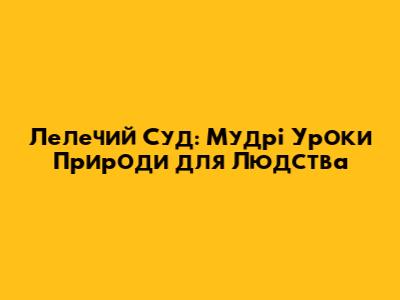 Лелечий Суд: Мудрі Уроки Природи для Людства