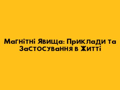 Магнітні Явища: Приклади та Застосування в Житті