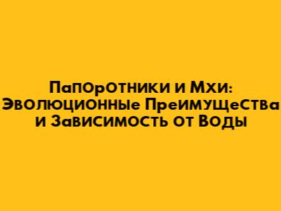 Папоротники и Мхи: Эволюционные Преимущества и Зависимость от Воды