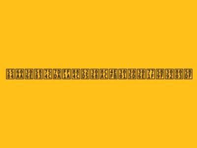 善悪の境界線：行動と責任、その真実を考察