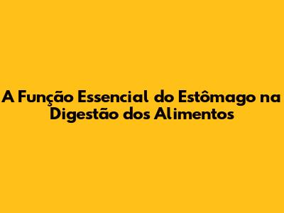 A Função Essencial do Estômago na Digestão dos Alimentos