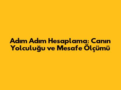 Adım Adım Hesaplama: Can'ın Yolculuğu ve Mesafe Ölçümü
