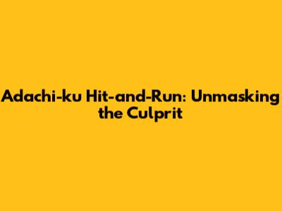 Adachi-ku Hit-and-Run: Unmasking the Culprit