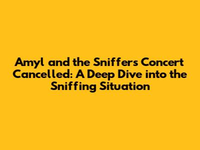 Amyl and the Sniffers Concert Cancelled: A Deep Dive into the Sniffing Situation
