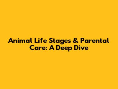 Animal Life Stages & Parental Care: A Deep Dive