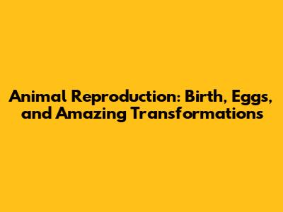 Animal Reproduction: Birth, Eggs, and Amazing Transformations