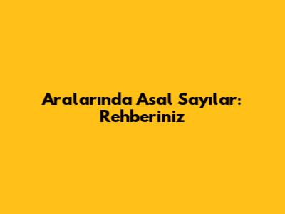 Aralarında Asal Sayılar: Rehberiniz