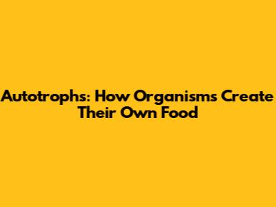 Autotrophs: How Organisms Create Their Own Food