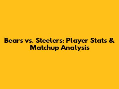 Bears vs. Steelers: Player Stats & Matchup Analysis