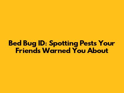 Bed Bug ID: Spotting Pests Your Friends Warned You About