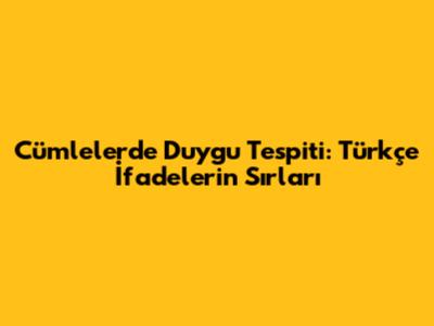 Cümlelerde Duygu Tespiti: Türkçe İfadelerin Sırları