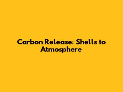 Carbon Release: Shells to Atmosphere