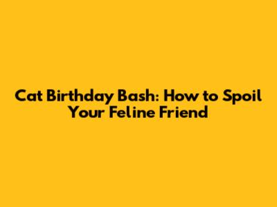 Cat Birthday Bash: How to Spoil Your Feline Friend
