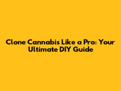 Clone Cannabis Like a Pro: Your Ultimate DIY Guide