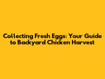 Collecting Fresh Eggs: Your Guide to Backyard Chicken Harvest