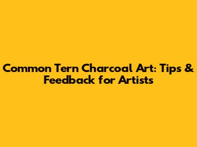 Common Tern Charcoal Art: Tips & Feedback for Artists