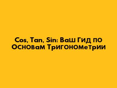Cos, Tan, Sin: Ваш Гид по Основам Тригонометрии