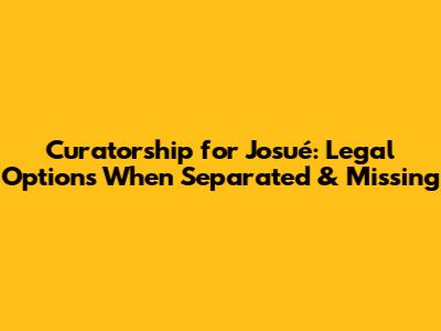 Curatorship for Josué: Legal Options When Separated & Missing