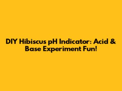 DIY Hibiscus pH Indicator: Acid & Base Experiment Fun!