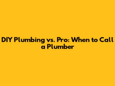 DIY Plumbing vs. Pro: When to Call a Plumber