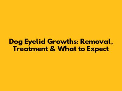 Dog Eyelid Growths: Removal, Treatment & What to Expect