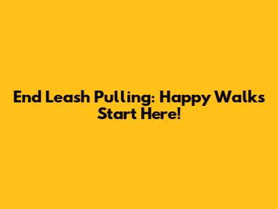 End Leash Pulling: Happy Walks Start Here!