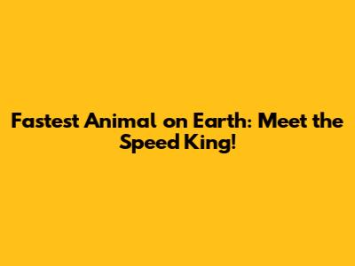 Fastest Animal on Earth: Meet the Speed King!
