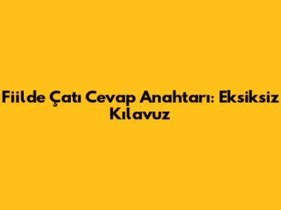 Fiilde Çatı Cevap Anahtarı: Eksiksiz Kılavuz