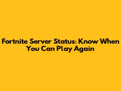 Fortnite Server Status: Know When You Can Play Again