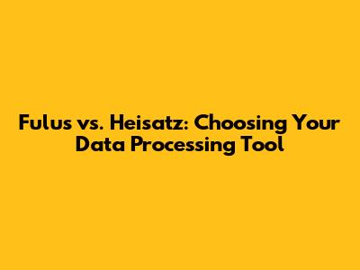 Fulus vs. Heisatz: Choosing Your Data Processing Tool