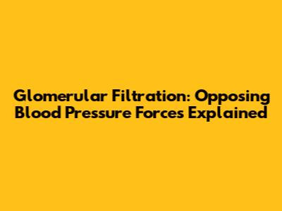 Glomerular Filtration: Opposing Blood Pressure Forces Explained