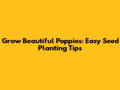 Grow Beautiful Poppies: Easy Seed Planting Tips