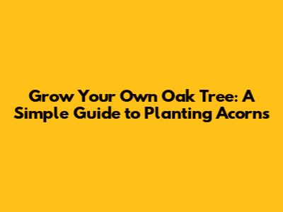 Grow Your Own Oak Tree: A Simple Guide to Planting Acorns