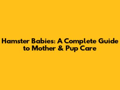 Hamster Babies: A Complete Guide to Mother & Pup Care
