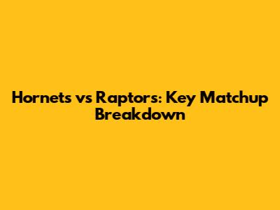 Hornets vs Raptors: Key Matchup Breakdown