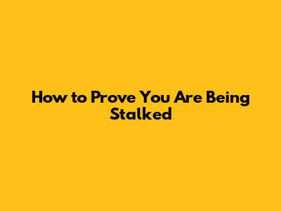 How to Prove You Are Being Stalked