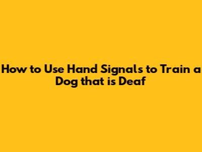 How to Use Hand Signals to Train a Dog that is Deaf