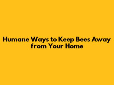 Humane Ways to Keep Bees Away from Your Home