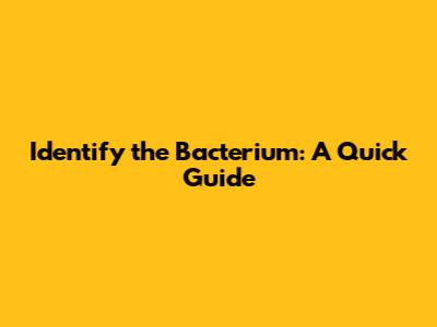 Identify the Bacterium: A Quick Guide