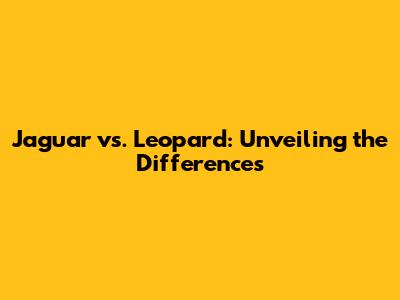 Jaguar vs. Leopard: Unveiling the Differences