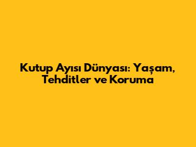 Kutup Ayısı Dünyası: Yaşam, Tehditler ve Koruma