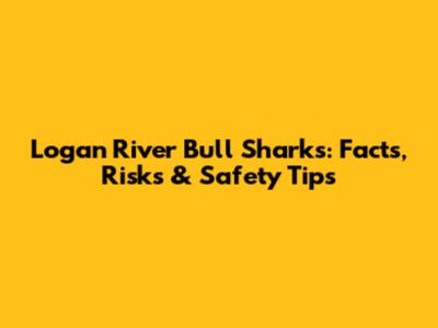 Logan River Bull Sharks: Facts, Risks & Safety Tips