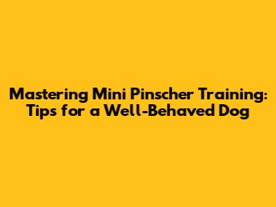 Mastering Mini Pinscher Training: Tips for a Well-Behaved Dog
