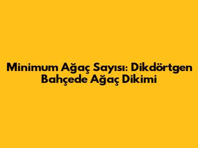 Minimum Ağaç Sayısı: Dikdörtgen Bahçede Ağaç Dikimi