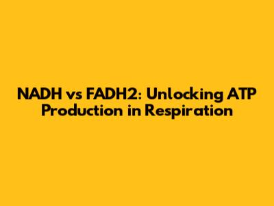 NADH vs FADH2: Unlocking ATP Production in Respiration