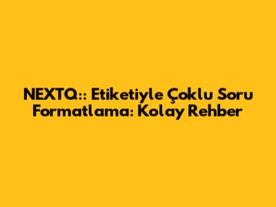 NEXTQ:: Etiketiyle Çoklu Soru Formatlama: Kolay Rehber