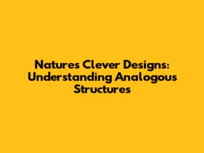 Nature's Clever Designs: Understanding Analogous Structures