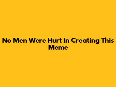 No Men Were Hurt In Creating This Meme