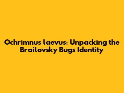 Ochrimnus laevus: Unpacking the Brailovsky Bug's Identity