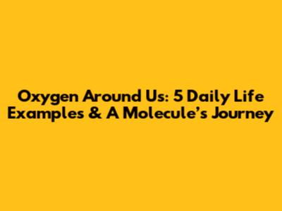 Oxygen Around Us: 5 Daily Life Examples & A Molecule’s Journey